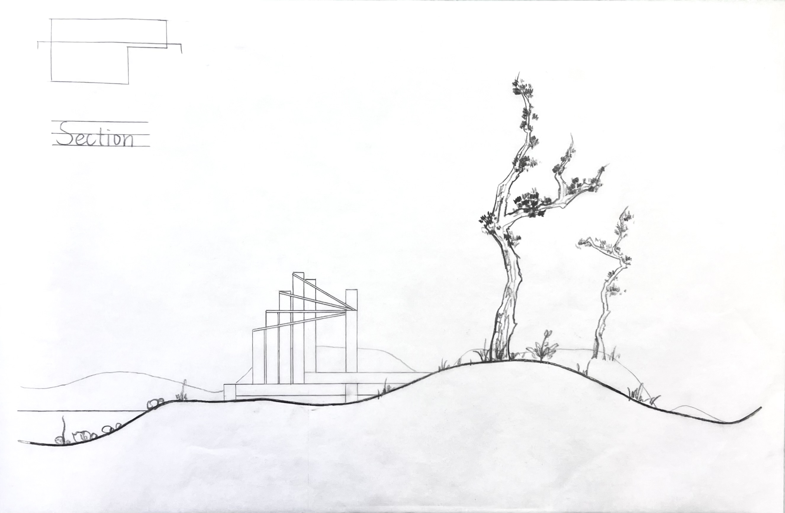 Section 1