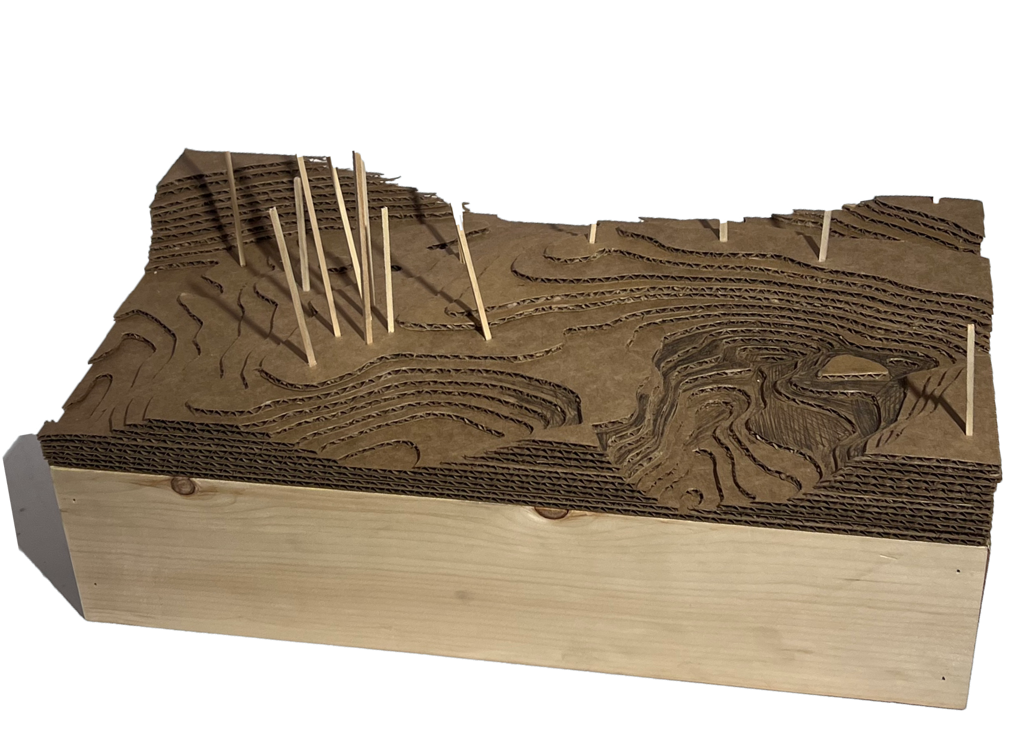 Site model